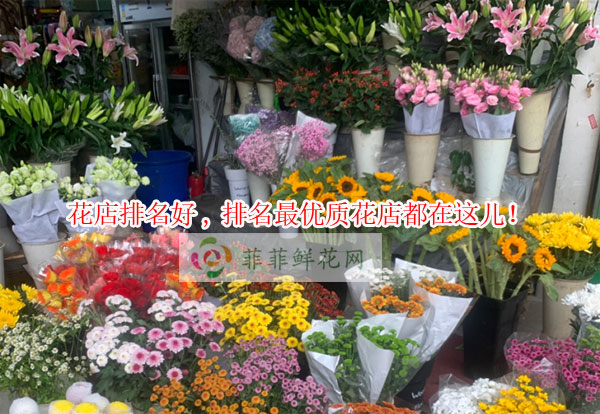 张家口下花园区花店排名,张家口下花园区最优质花店都在这儿!