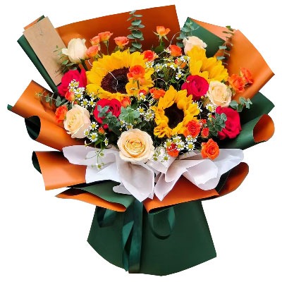 �żҿ��»�԰������
